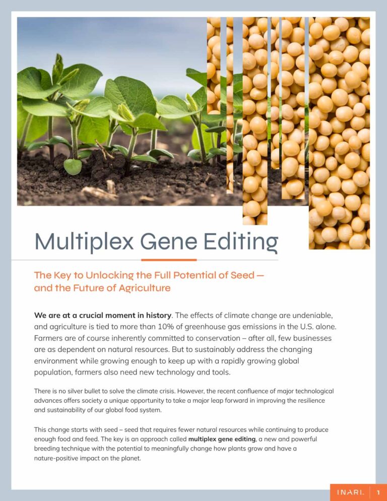 Multiplex Gene Editing: The Key to Unlocking the Full Potential of Seed