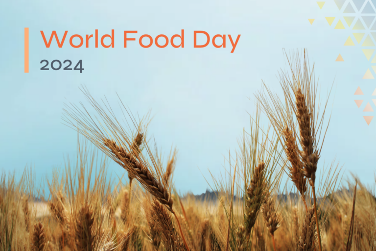 An October Reflection on Food System Sustainability 