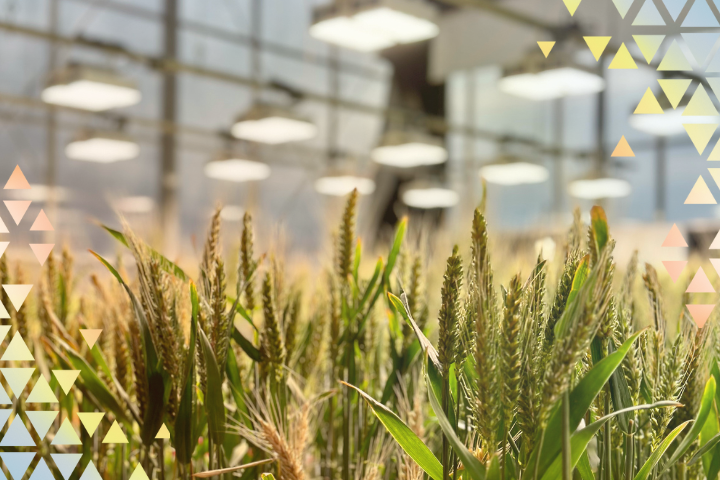 Three Ways Gene Editing Supports Biodiversity 